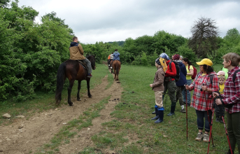 На лошадках